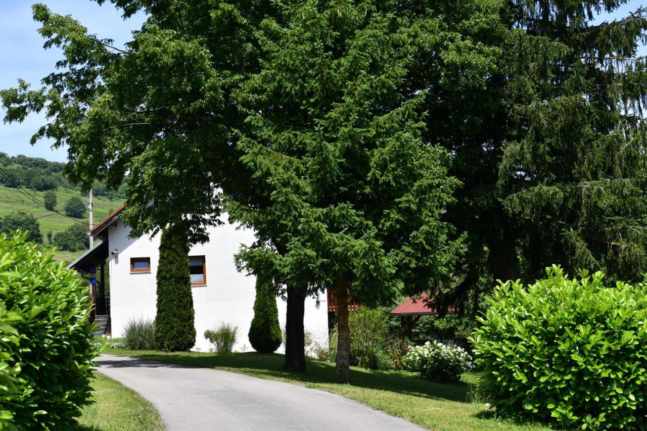 Apartment And Rooms Ivancica Seliste Dreznicko Εξωτερικό φωτογραφία