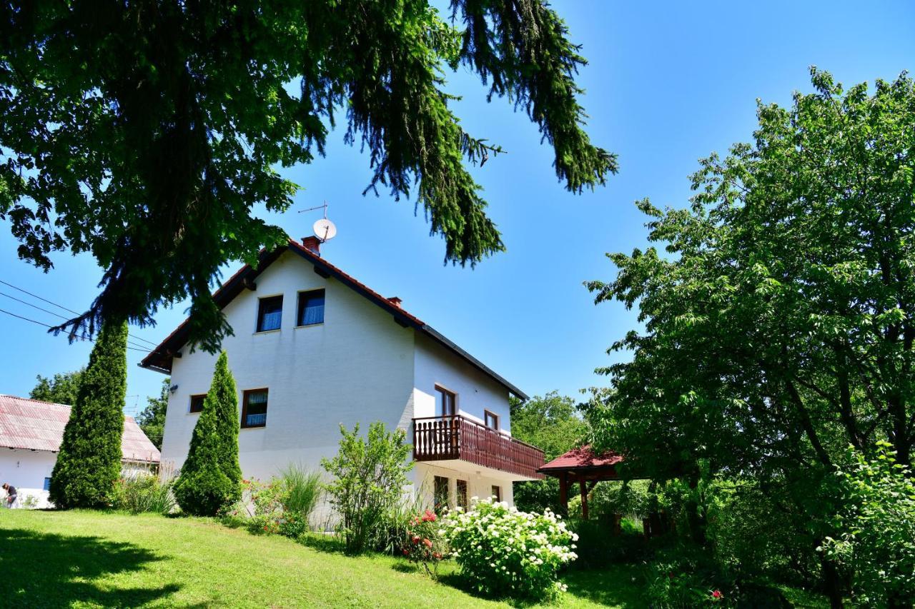 Apartment And Rooms Ivancica Seliste Dreznicko Εξωτερικό φωτογραφία